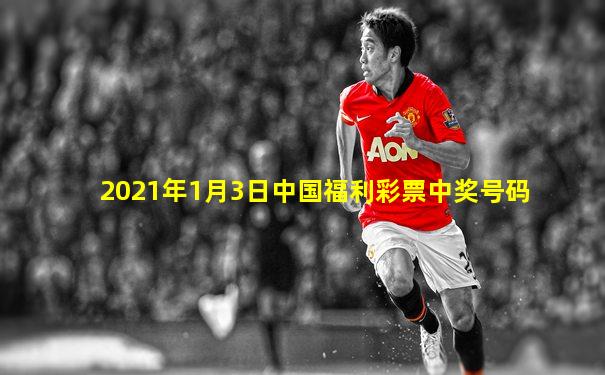 2021年1月3日中国福利彩票中奖号码