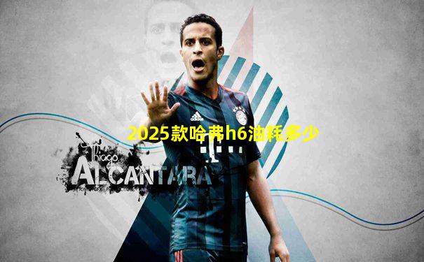 2025款哈弗h6油耗多少