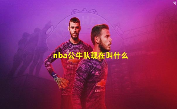 nba公牛队现在叫什么