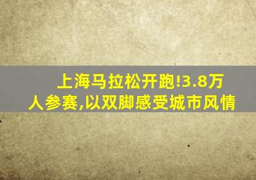 上海马拉松开跑!3.8万人参赛,以双脚感受城市风情