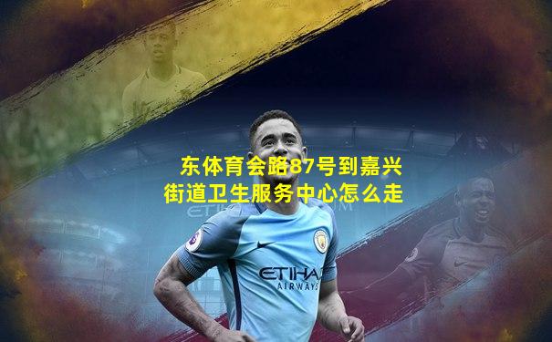 东体育会路87号到嘉兴街道卫生服务中心怎么走
