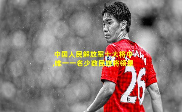 中国人民解放军十大将中,唯一一名少数民族将领是