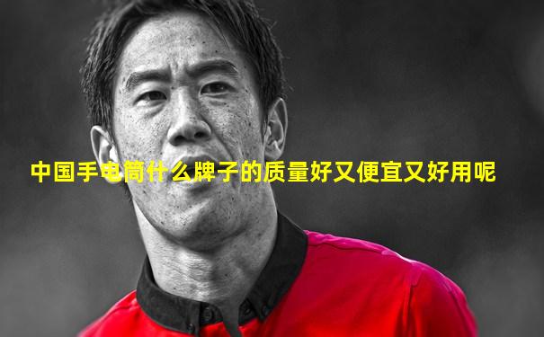 中国手电筒什么牌子的质量好又便宜又好用呢