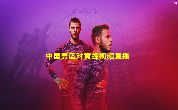 中国男篮对黄蜂视频直播