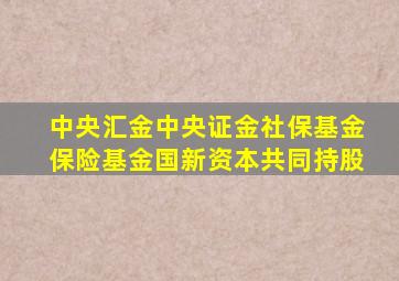 中央汇金中央证金社保基金保险基金国新资本共同持股