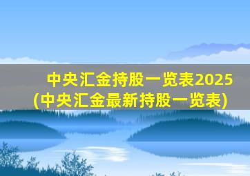 中央汇金持股一览表2025(中央汇金最新持股一览表)