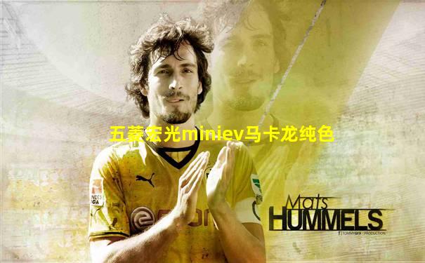 五菱宏光miniev马卡龙纯色