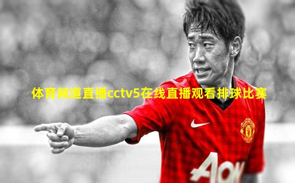 体育频道直播cctv5在线直播观看排球比赛