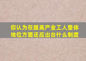 你认为在提高产业工人整体地位方面还应出台什么制度