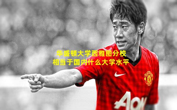 华盛顿大学西雅图分校相当于国内什么大学水平