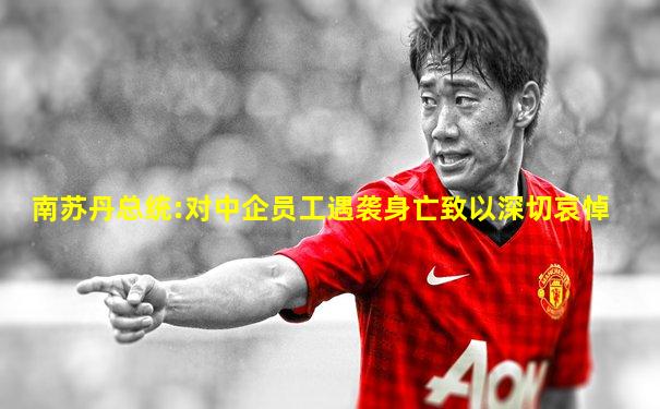 南苏丹总统:对中企员工遇袭身亡致以深切哀悼