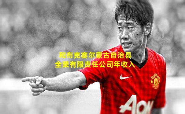 和布克赛尔蒙古自治县全荣有限责任公司年收入