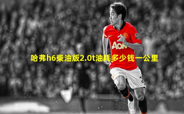 哈弗h6柴油版2.0t油耗多少钱一公里