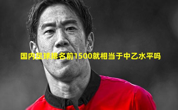 国内足球排名前1500就相当于中乙水平吗
