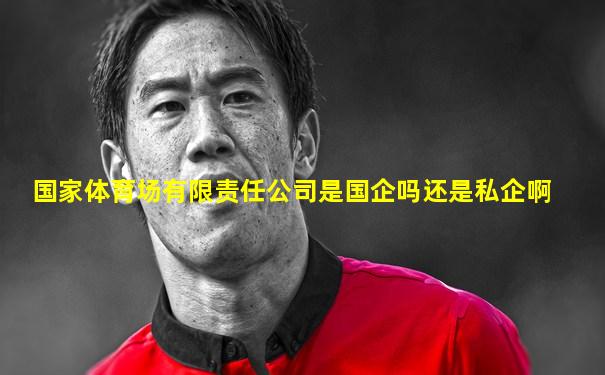 国家体育场有限责任公司是国企吗还是私企啊