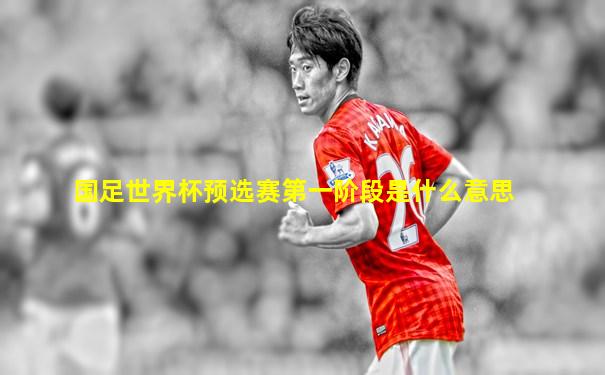 国足世界杯预选赛第一阶段是什么意思