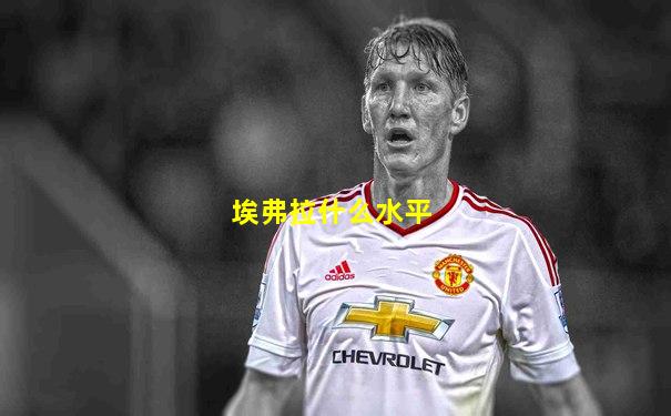 埃弗拉什么水平