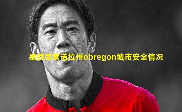 墨西哥索诺拉州obregon城市安全情况