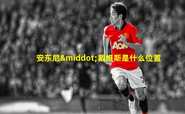 安东尼·戴维斯是什么位置