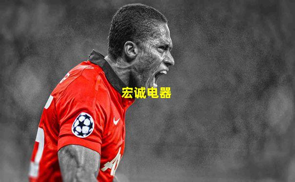宏诚电器