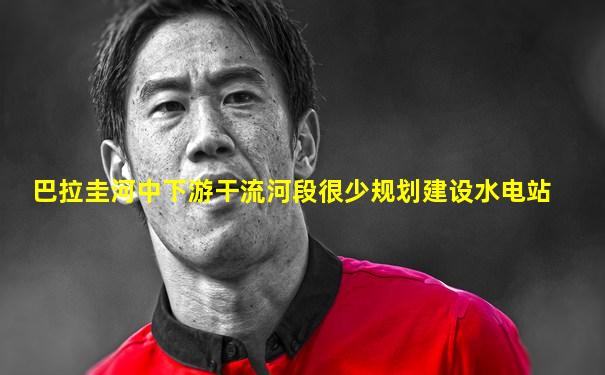 巴拉圭河中下游干流河段很少规划建设水电站