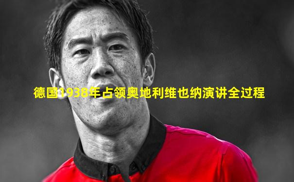 德国1938年占领奥地利维也纳演讲全过程