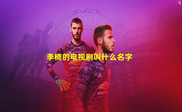 李楠的电视剧叫什么名字