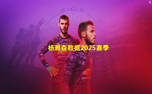 杨瀚森数据2025赛季