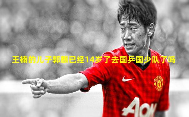 王楠的儿子郭麒已经14岁了去国乒国少队了吗