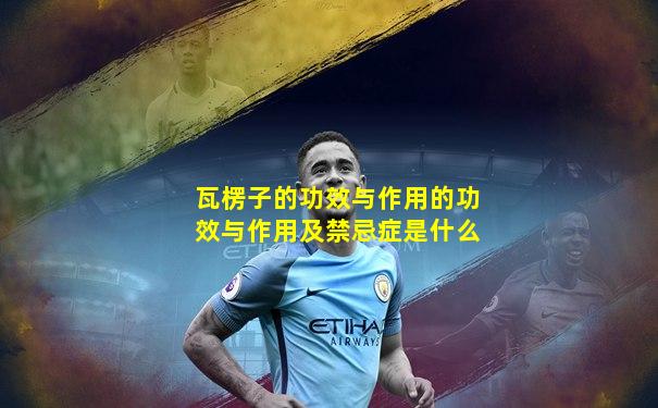 瓦楞子的功效与作用的功效与作用及禁忌症是什么