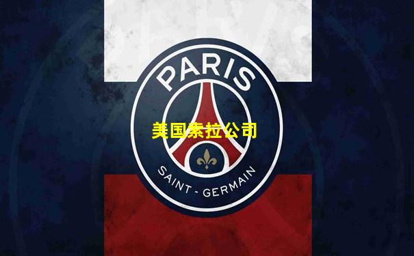 美国索拉公司