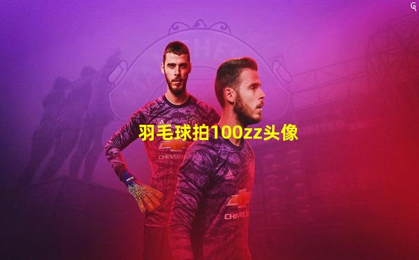 羽毛球拍100zz头像