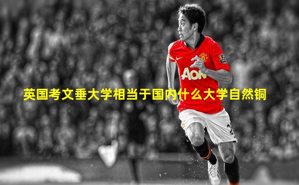 英国考文垂大学相当于国内什么大学自然铜