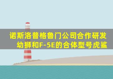 诺斯洛普格鲁门公司合作研发幼狮和F-5E的合体型号虎鲨