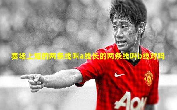 赛场上短的两条线叫a线长的两条线叫b线对吗