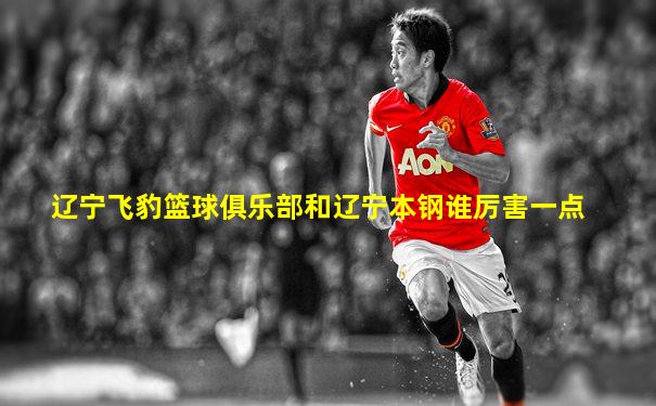 辽宁飞豹篮球俱乐部和辽宁本钢谁厉害一点
