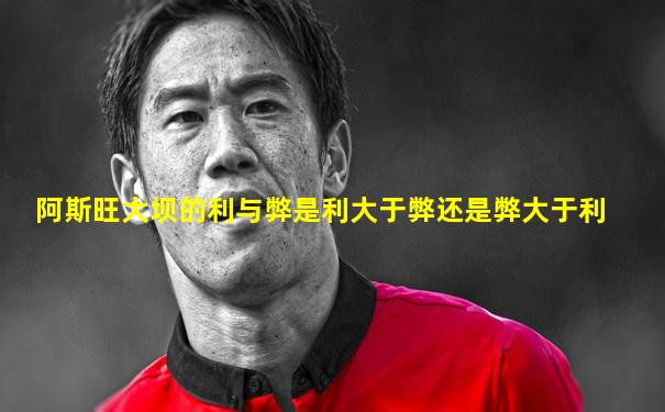 阿斯旺大坝的利与弊是利大于弊还是弊大于利