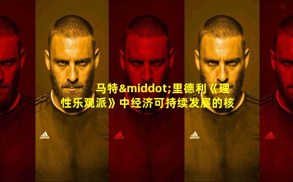 马特·里德利《理性乐观派》中经济可持续发展的核心是