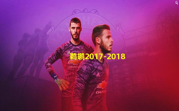鹈鹕2017-2018