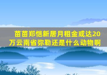 苗苗郑恺新居月租金或达20万云南省弥勒还是什么动物啊