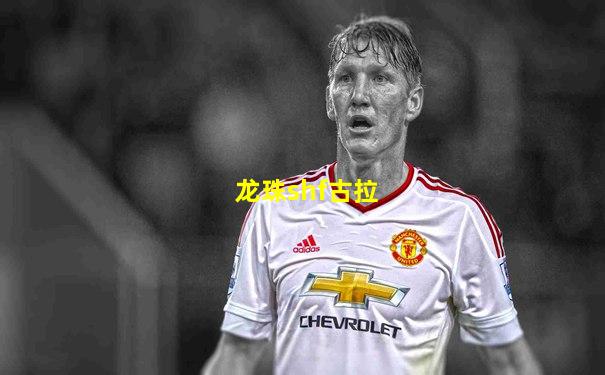 龙珠shf古拉